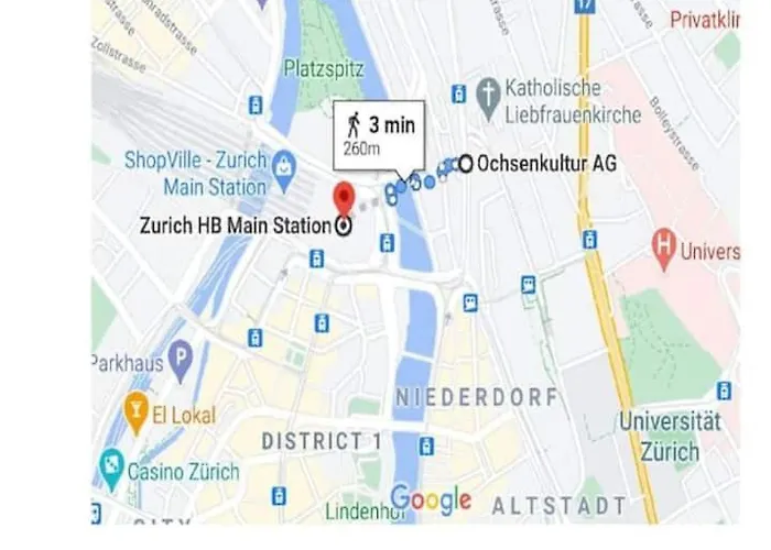 Leon Steps From Hb Station Ζυρίχη