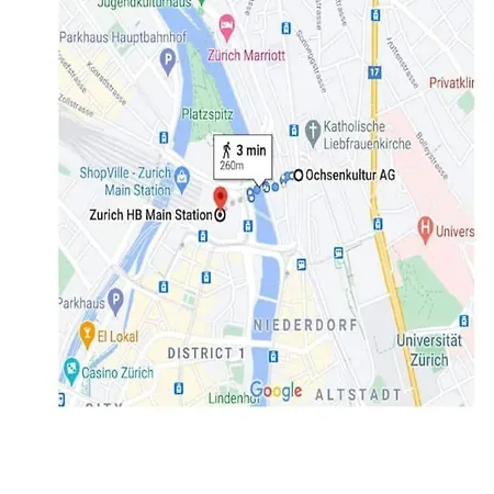 Leon Steps From Hb Station Zurych